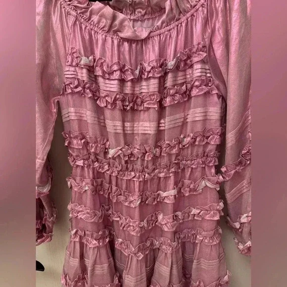 NWT Cynthia Rowley Ella Silk Metallic Foil Ruffle Mini Dress Metallic Blush XS - Picture 3 of 10
